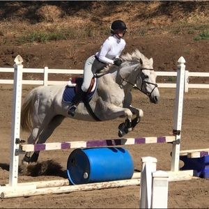 Meet your Posher, Autum